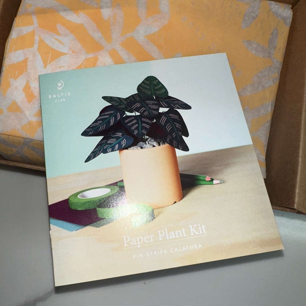 Baltic Club Paper Plant Kit